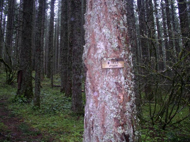 5.7.06 Wauna Point 012 